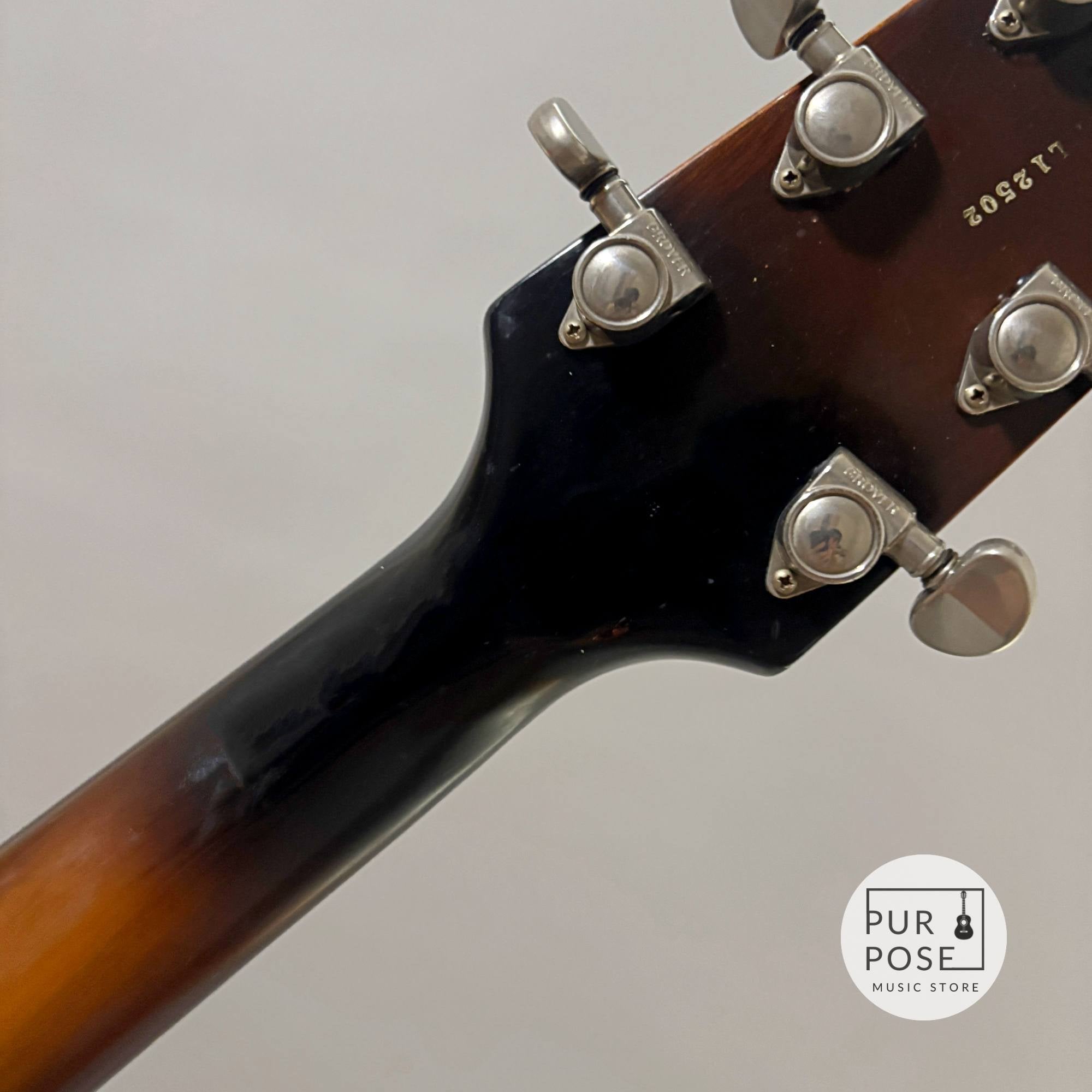 【現状品/動画あり】Heritage EAGLE ASB CUSTOM LIMITED EDITION オール単板フルアコ