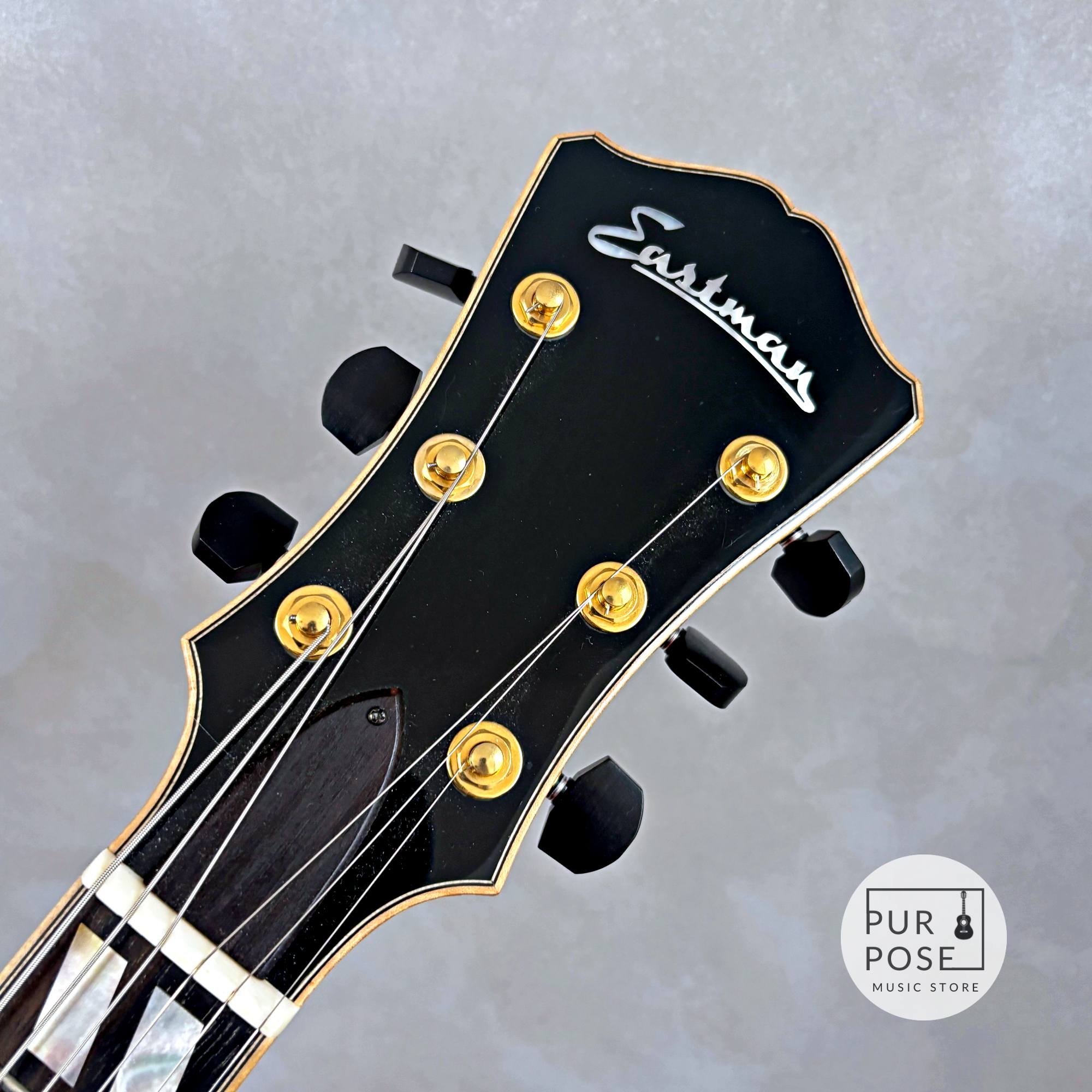 【委託品/美品中古】Eastman AR-580CE Honey Burst フルアコ