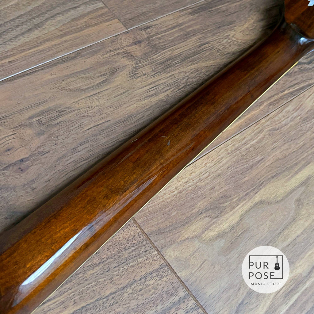 Epiphone Japan Riviera 1970年代 Walnut ブルーラベル