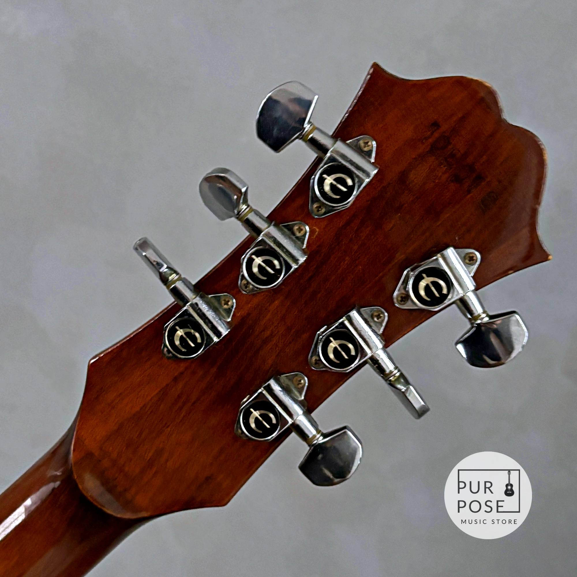 Epiphone Japan Riviera 1970年代 Walnut ブルーラベル