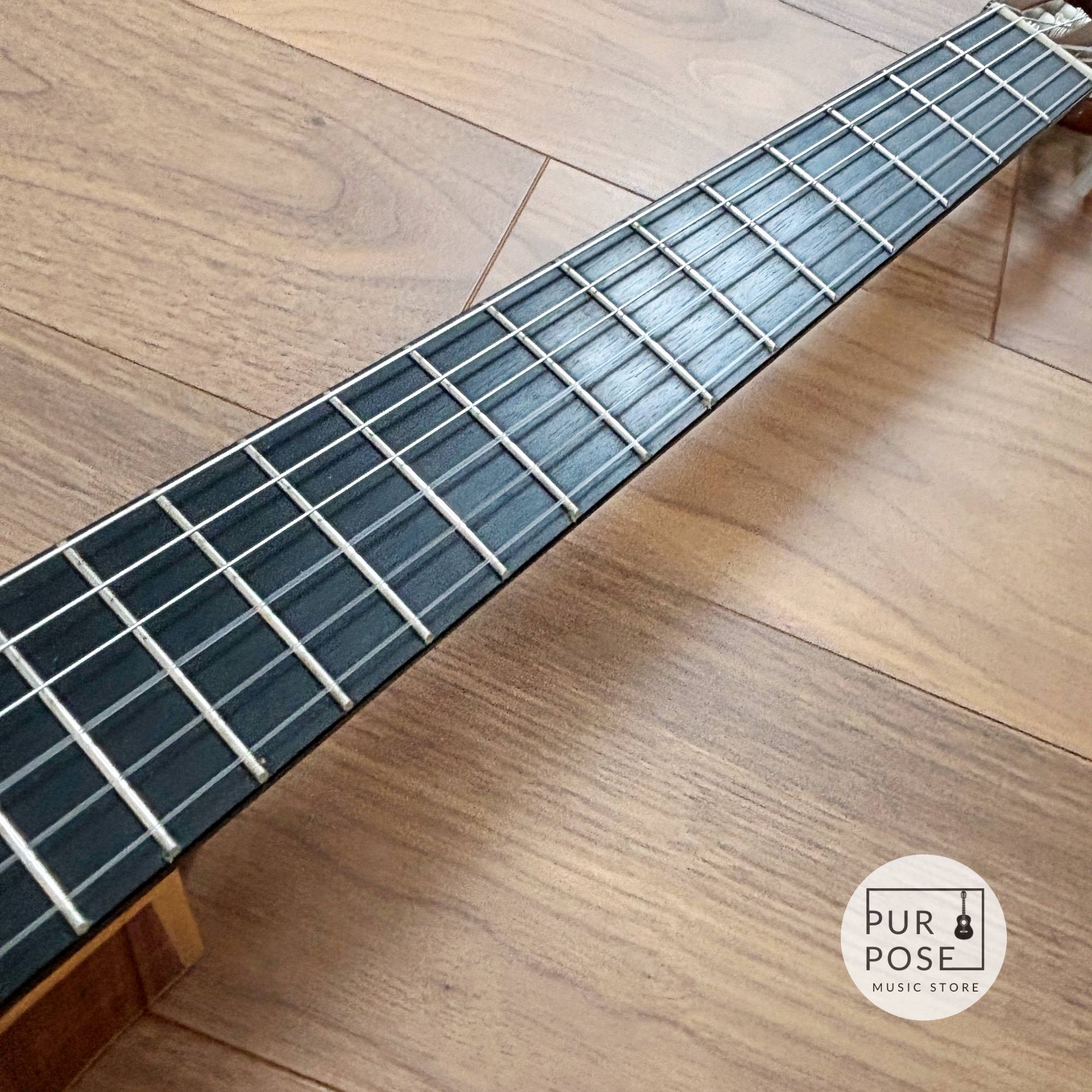 【動画あり】ASTURIAS Solo Artist C エレガット 2003年頃 L.R.Baggs Dual Source搭載