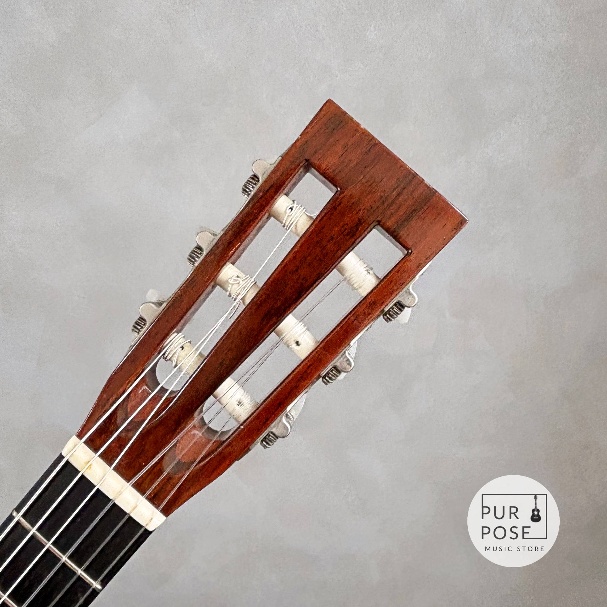 【動画あり】ASTURIAS Solo Artist C エレガット 2003年頃 L.R.Baggs Dual Source搭載