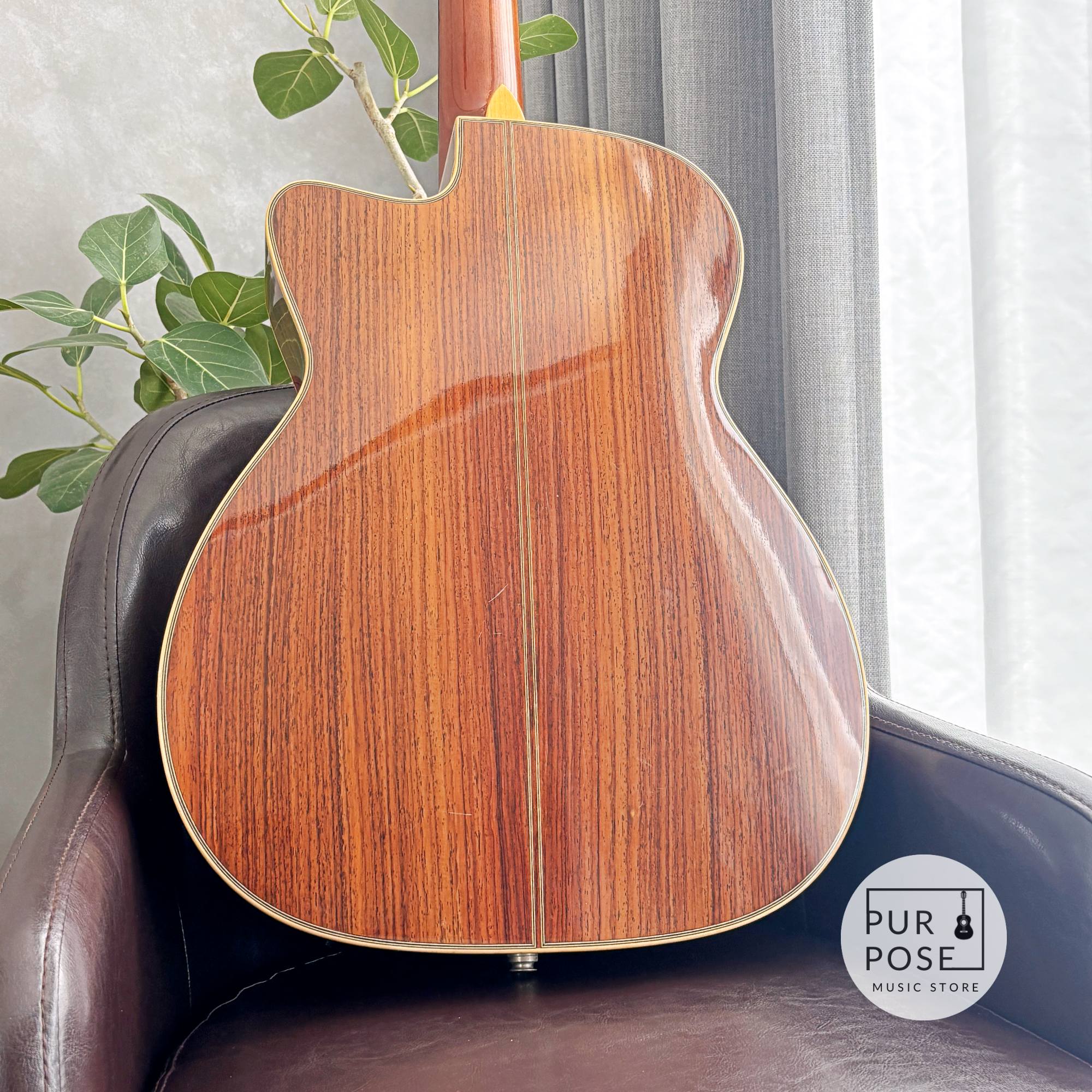 【動画あり】ASTURIAS Solo Artist C エレガット 2003年頃 L.R.Baggs Dual Source搭載
