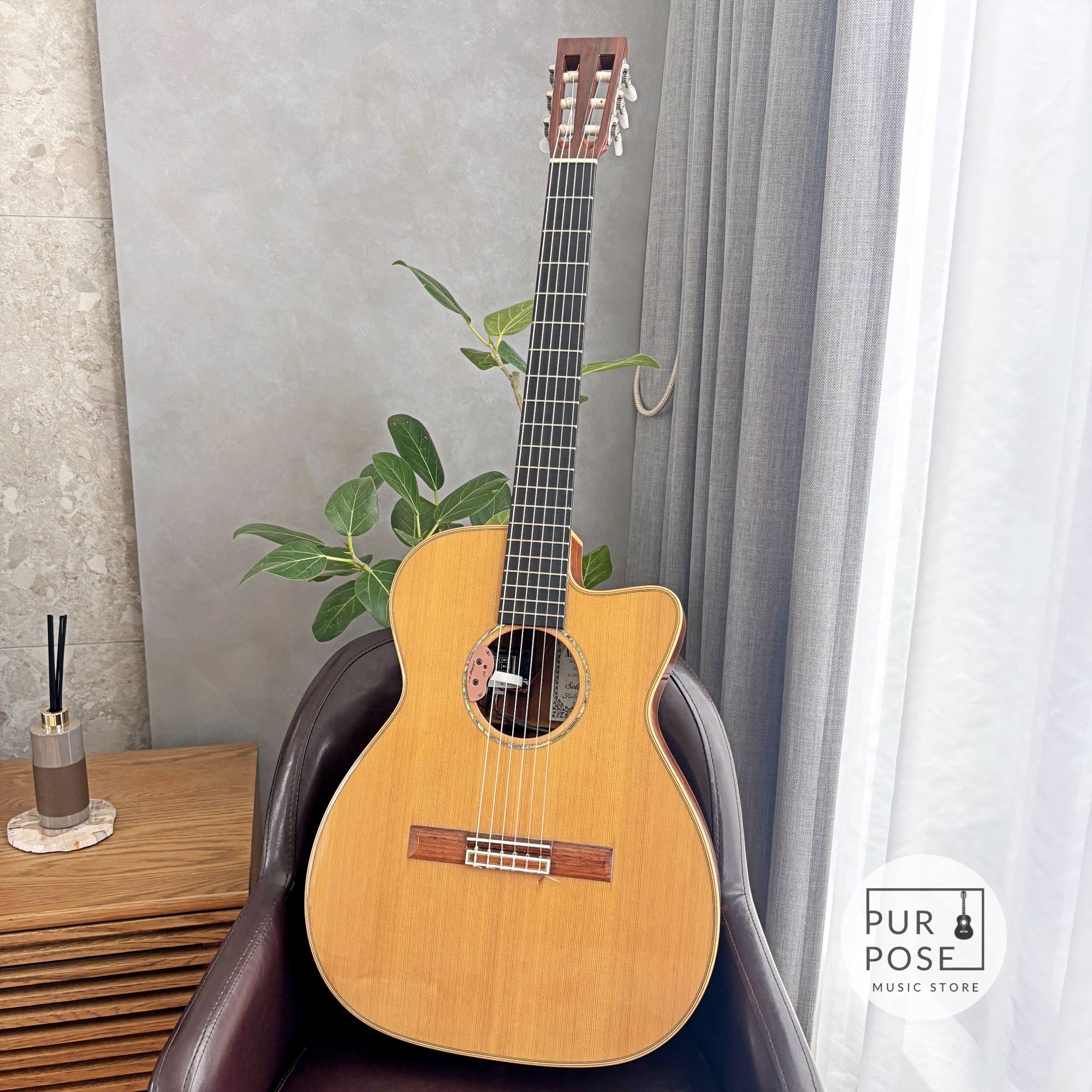 【動画あり】ASTURIAS Solo Artist C エレガット 2003年頃 L.R.Baggs Dual Source搭載