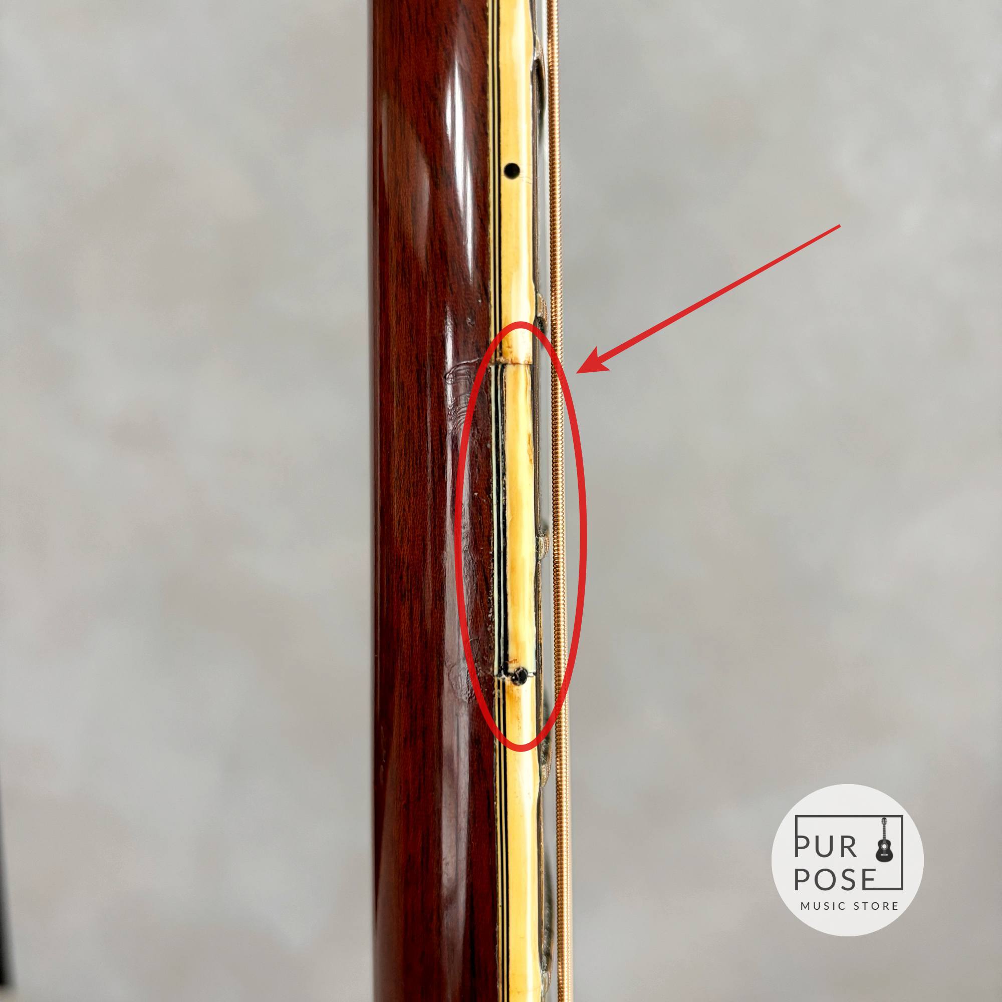 【中古/動画あり】Guild D-55 SB 1972年製  Westerly製