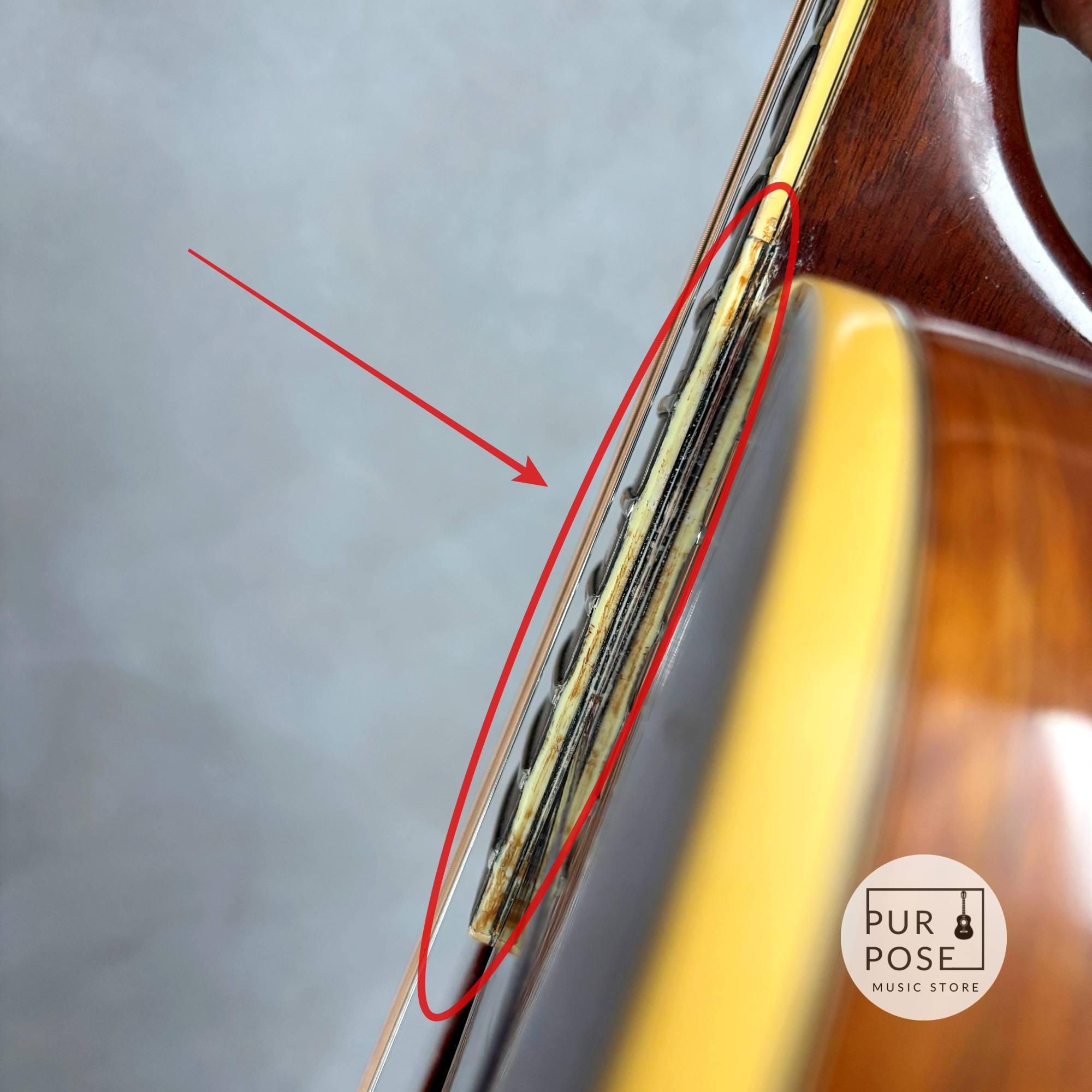 【中古/動画あり】Guild D-55 SB 1972年製  Westerly製