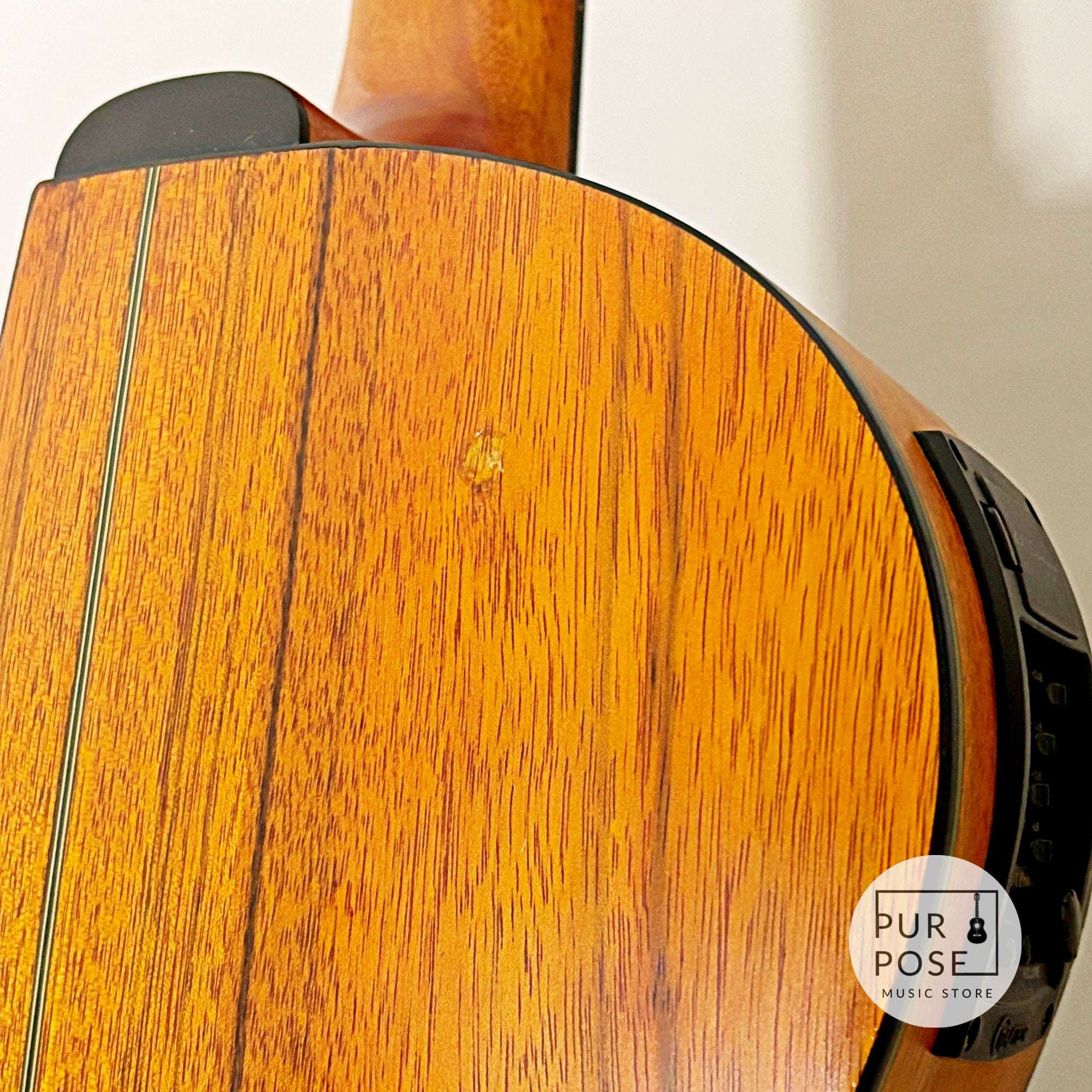 【現状品特価/動画あり】Crafter CE15 エレガット クラシックギター