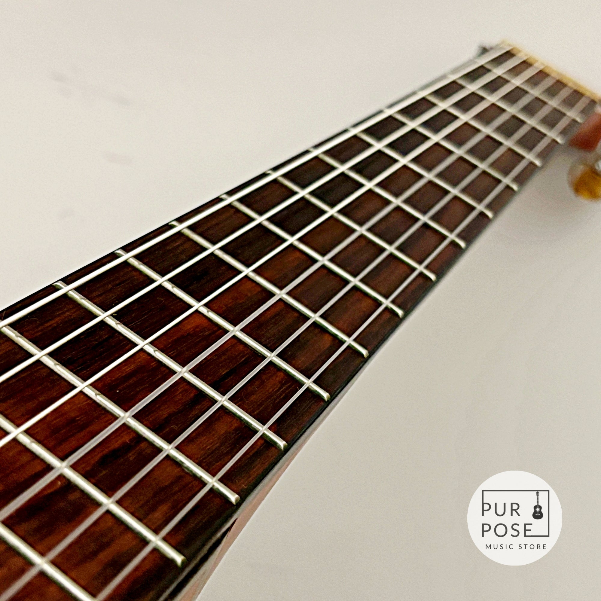 【現状品特価/動画あり】Crafter CE15 エレガット クラシックギター