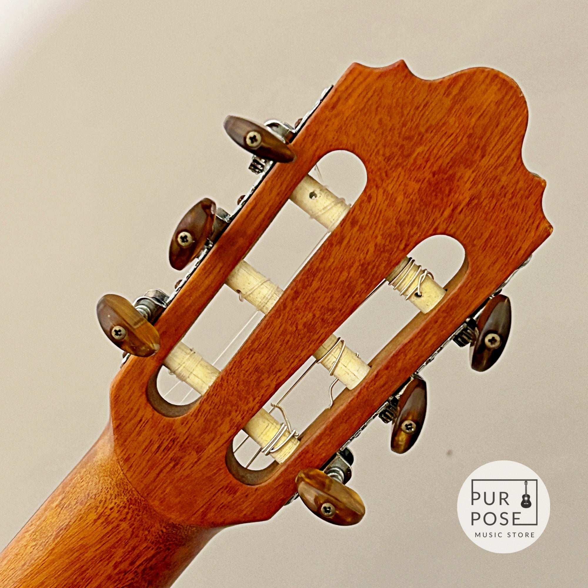 【現状品特価/動画あり】Crafter CE15 エレガット クラシックギター