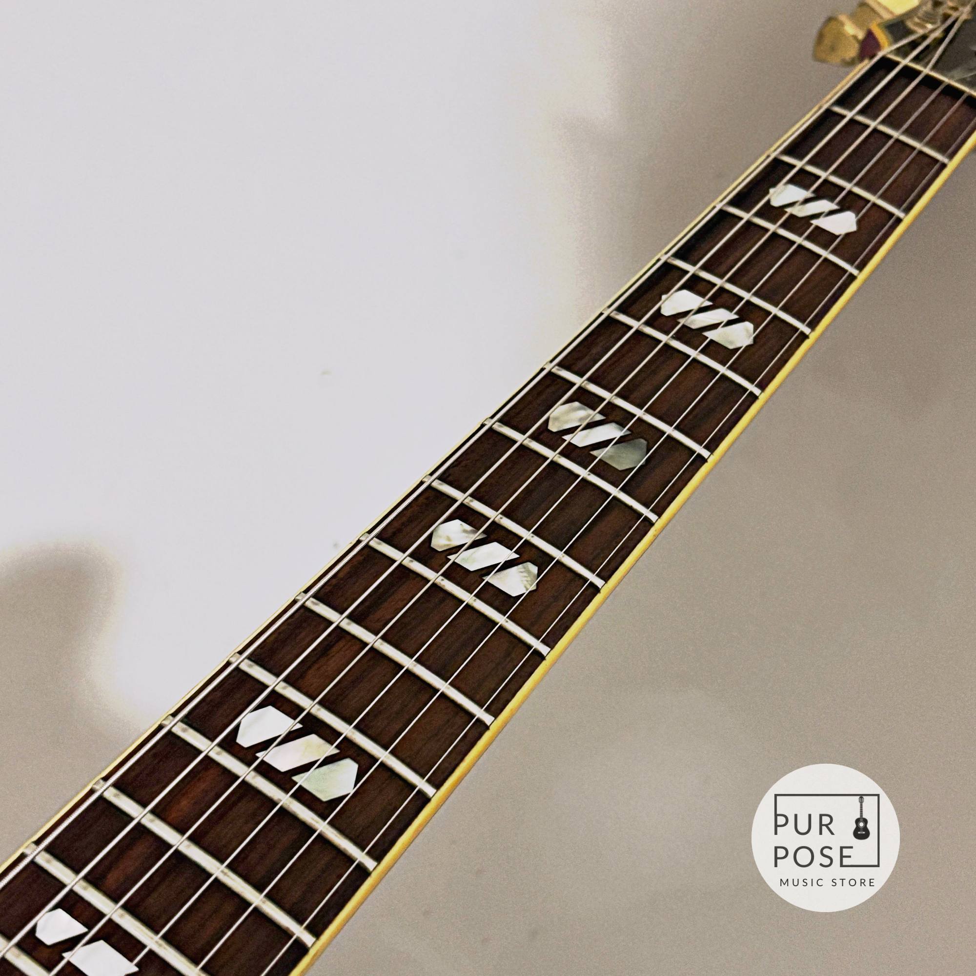 【中古/動画あり】Greco SV-800 1979年製 セミアコースティックギター