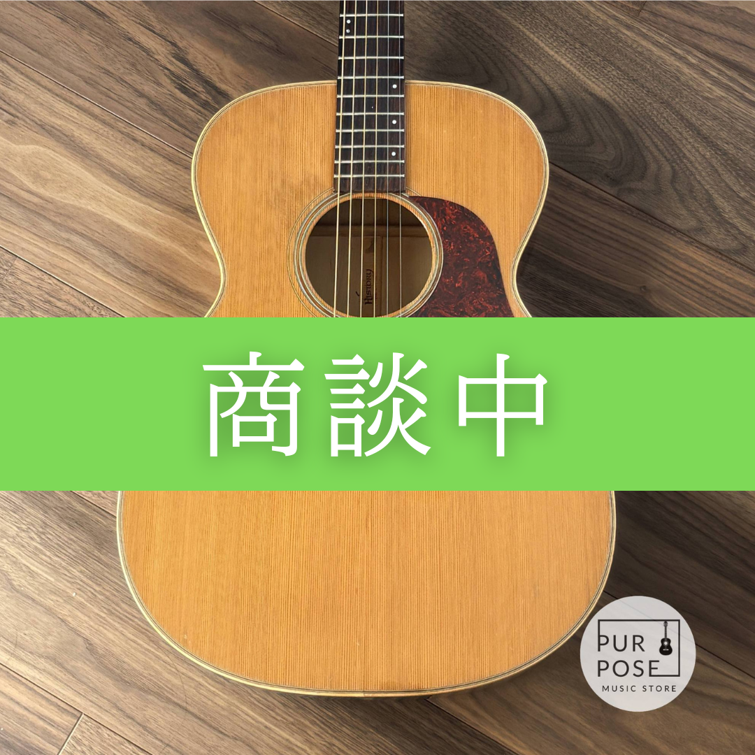 【ホールド/動画あり】HISTORY NT-03TT フジゲン 生産100本限定 Limited Edition / Timeless Timber