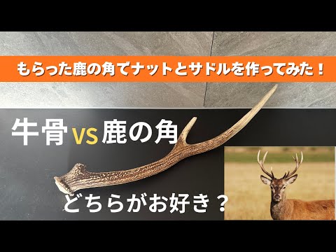 至高の「鹿角（シカツノ）」ナット＆サドル製作